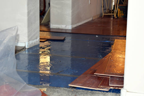 Professional Water Damage Restoration technician working in Salem, NJ